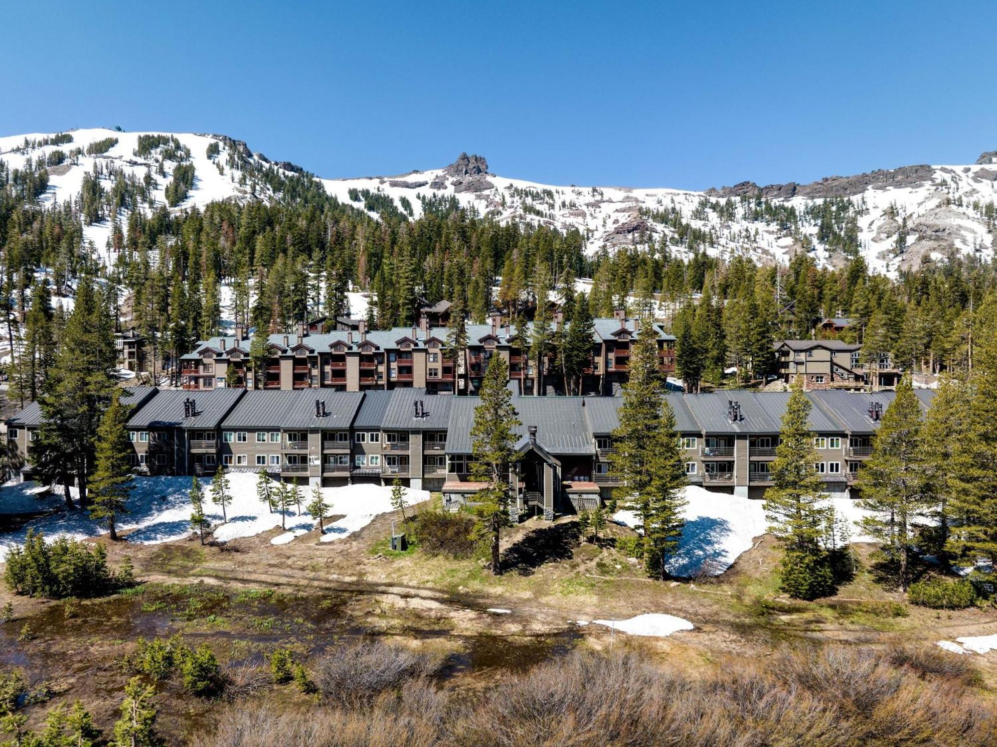 Mountain Kirkwood